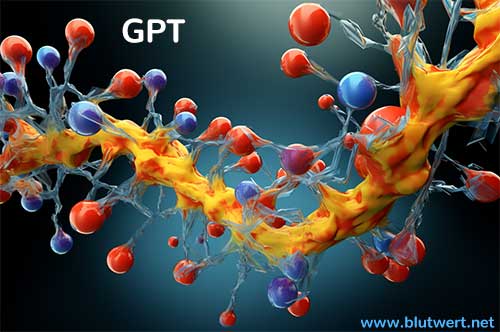 GPT: Glutamat-Pyruvat-Transaminase
