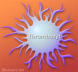 Thrombozyt
