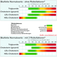 Blutfette