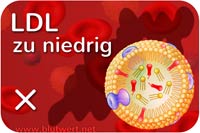 LDL-Cholesterin zu niedrig