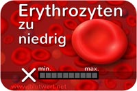 Erythrozyten-Wert vermindert, zu niedrig: zu wenige rote Blutkörperchen