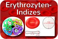 Erythrozytenindizes