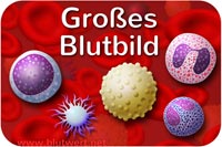 Großes Blutbild