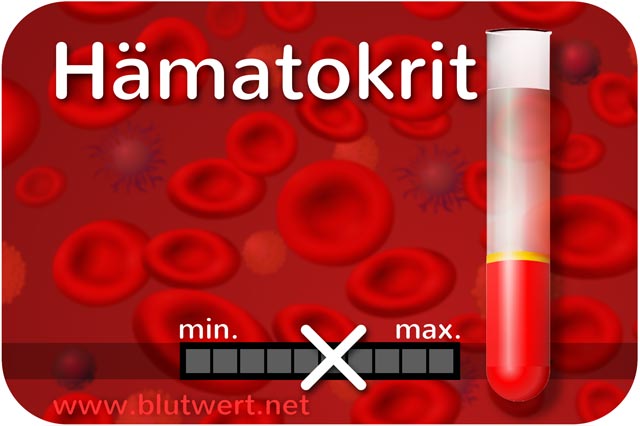 Hämatokrit (Blutwert Hkt)