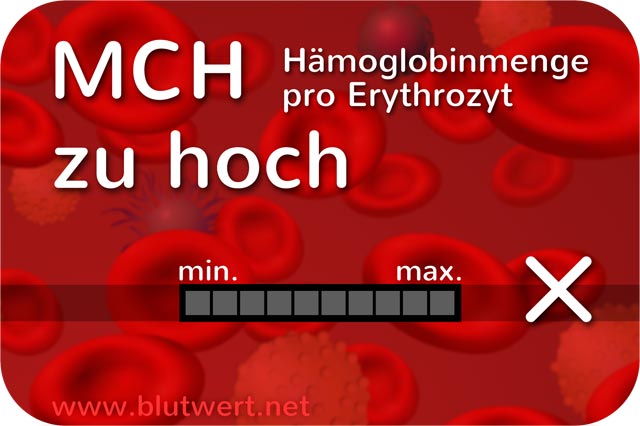 Blutwert Hämoglobinmenge (MCH) zu hoch / erhöht