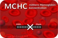 Durchschnittliche Hämoglobinkonzentration