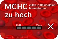 MCHC-Wert erhöht, zu hoch