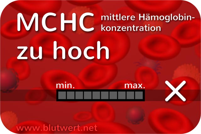 Blutwert Durchschnittliche Hämoglobinkonzentration (MCHC) zu hoch / erhöht