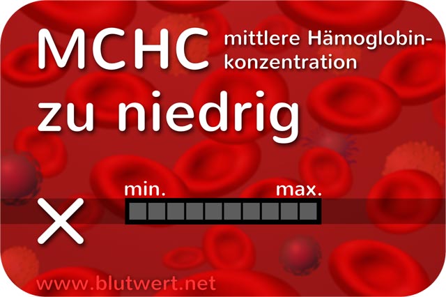 Blutwert Durchschnittliche Hämoglobinkonzentration (MCHC) zu niedrig / vermindert