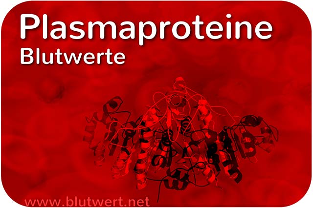Plasmaproteine - Protein-Blutwerte