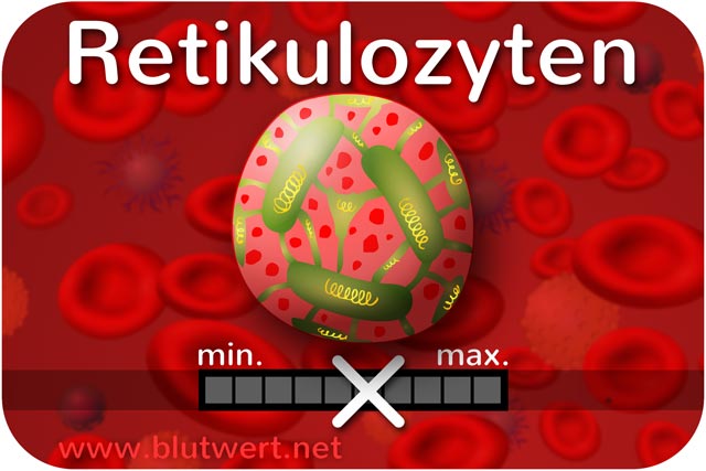Blutwert Retikulozyten (Retis)