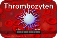 Thrombozyten